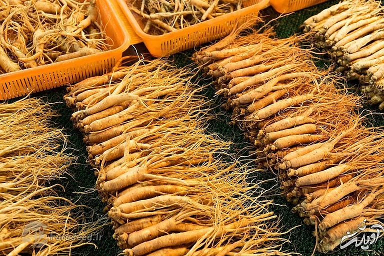 هشت خوراکی برای افزایش میل جنسی